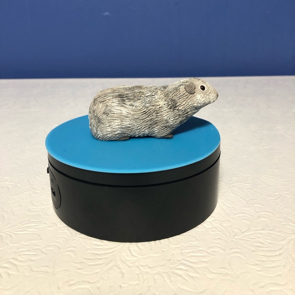 Here’s a cute polymer silver and white guinea pig. Handmade.
